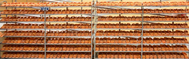 The Seventh Day of The 96th Seven-Day Retreat