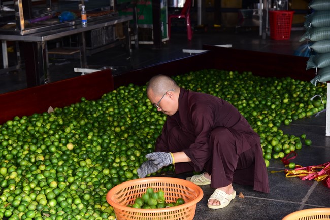 Continuing to support people in need in the Covid-19 pandemic of Hoang Phap Pagoda (series 5)