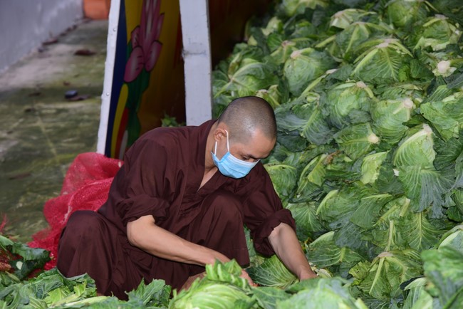 Continuing to support people in need in the Covid-19 pandemic of Hoang Phap Pagoda (series 5)