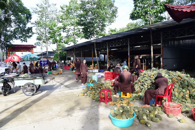 Continuing to support people in need in the Covid-19 pandemic of Hoang Phap Pagoda (series 5)