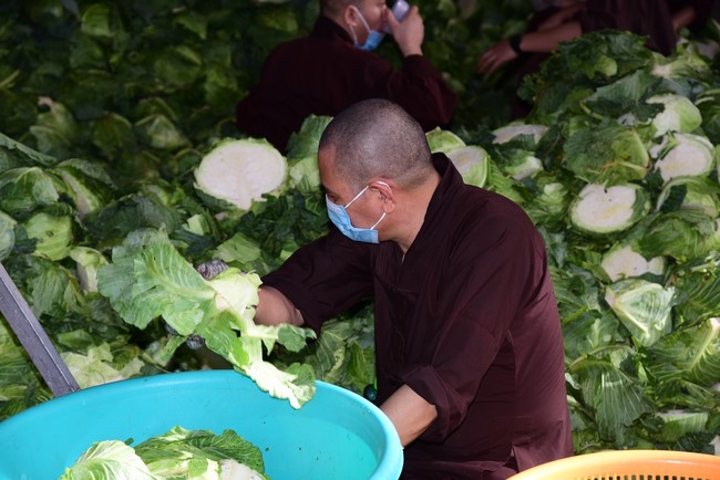 Continuing to support people in need in the Covid-19 pandemic of Hoang Phap Pagoda (series 5)