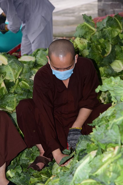 Continuing to support people in need in the Covid-19 pandemic of Hoang Phap Pagoda (series 5)