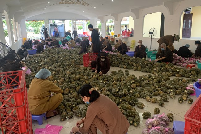 Continuing to support people in need in the Covid-19 pandemic of Hoang Phap Pagoda (series 5)