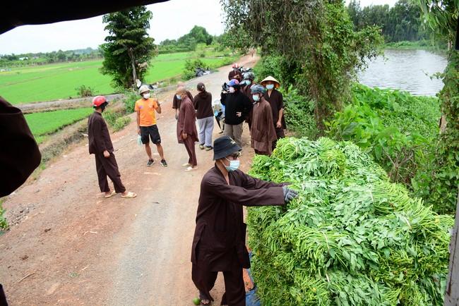Continuing to support people in need in the Covid-19 pandemic of Hoang Phap Pagoda (series 5)