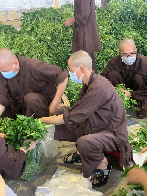 Continuing to support people in need in the Covid-19 pandemic of Hoang Phap Pagoda (series 5)