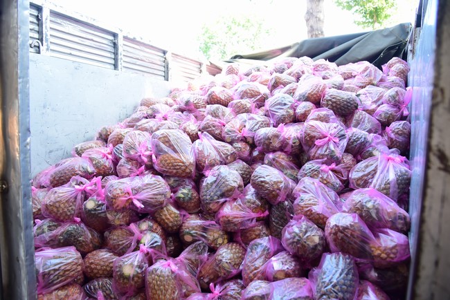 Continuing to support people in need in the Covid-19 pandemic of Hoang Phap Pagoda (series 5)