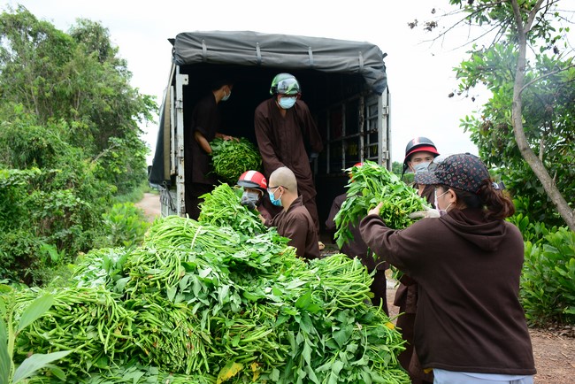 Continuing to support people in need in the Covid-19 pandemic of Hoang Phap Pagoda (series 5)