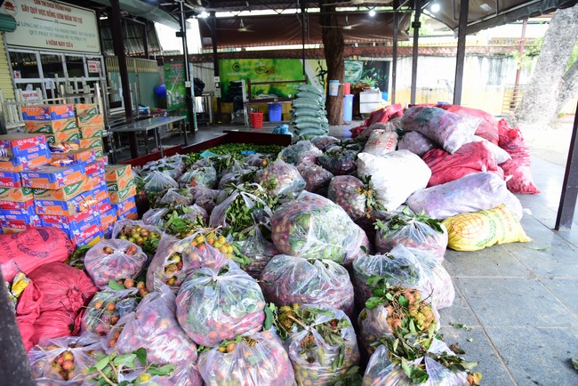 Continuing to support people in need in the Covid-19 pandemic of Hoang Phap Pagoda (series 5)