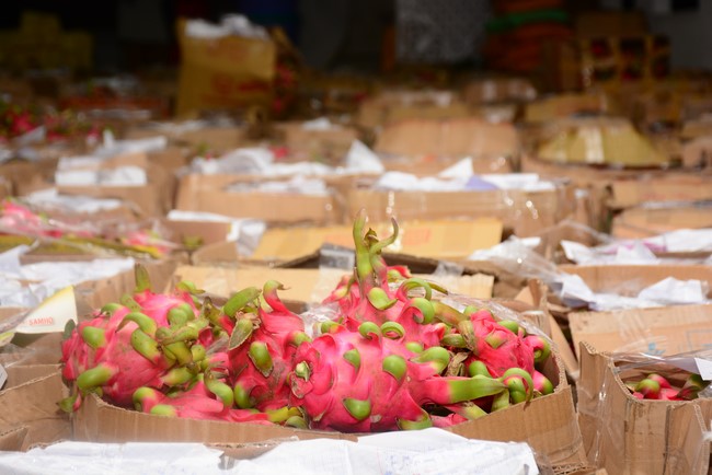 Continuing to support people in need in the Covid-19 pandemic of Hoang Phap Pagoda (series 5)