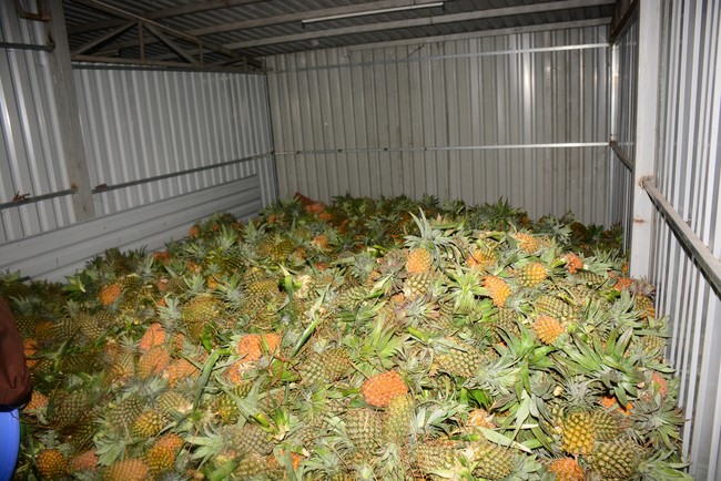 Continuing to support people in need in the Covid-19 pandemic of Hoang Phap Pagoda (series 5)