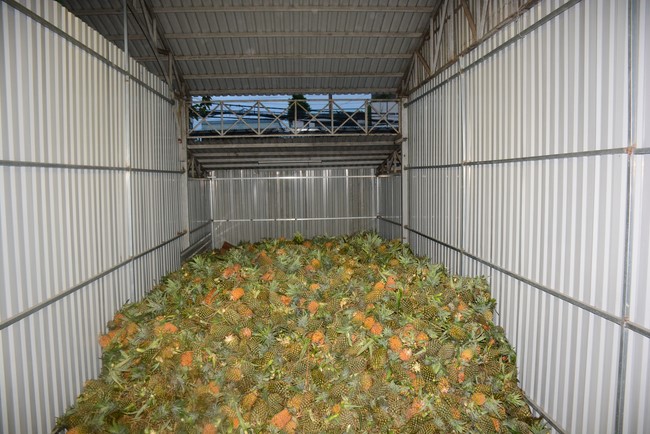 Continuing to support people in need in the Covid-19 pandemic of Hoang Phap Pagoda (series 5)