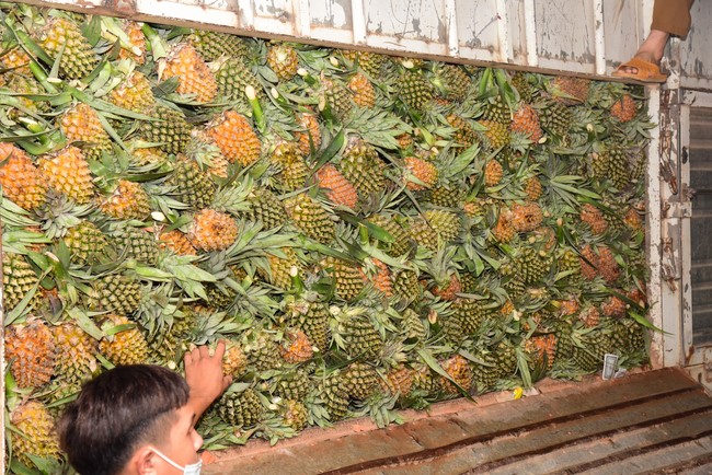 Continuing to support people in need in the Covid-19 pandemic of Hoang Phap Pagoda (series 5)