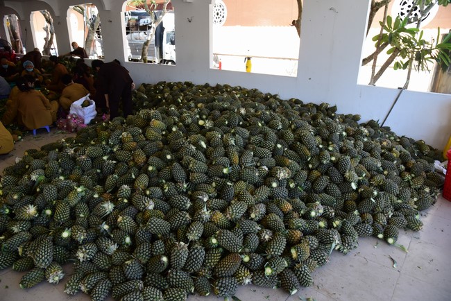 Continuing to support people in need in the Covid-19 pandemic of Hoang Phap Pagoda (series 5)