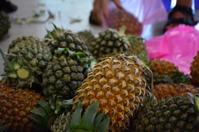 Continuing to support people in need in the Covid-19 pandemic of Hoang Phap Pagoda (series 5)