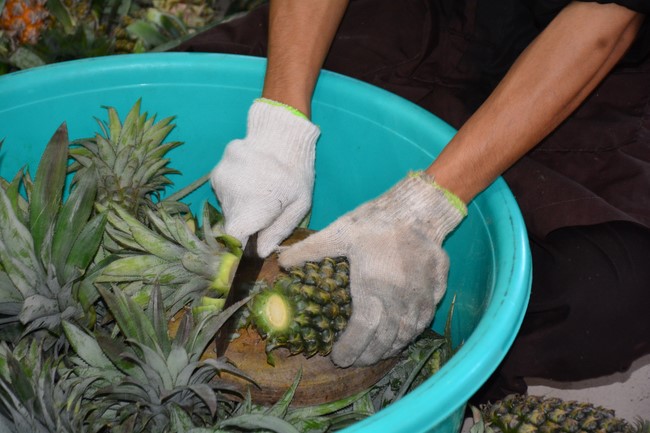 Continuing to support people in need in the Covid-19 pandemic of Hoang Phap Pagoda (series 5)