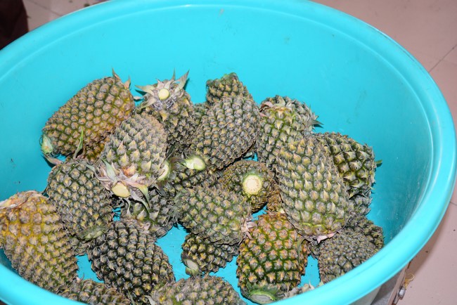 Continuing to support people in need in the Covid-19 pandemic of Hoang Phap Pagoda (series 5)