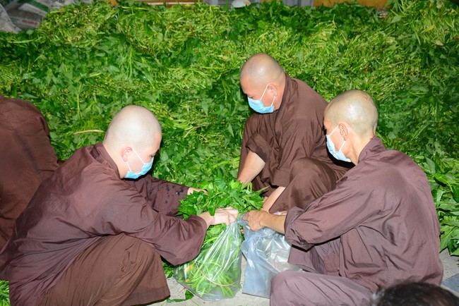 Continuing to support people in need in the Covid-19 pandemic of Hoang Phap Pagoda (series 5)