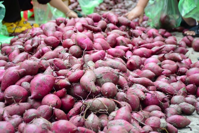 Chùa Hoằng Pháp: Tiếp tục hỗ trợ người dân khó khăn trong đại dịch Covid (đợt 6)