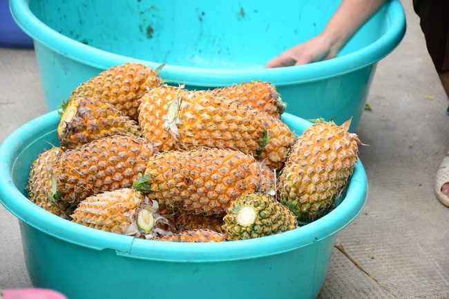 Chùa Hoằng Pháp: Tiếp tục hỗ trợ người dân khó khăn trong đại dịch Covid (đợt 6)