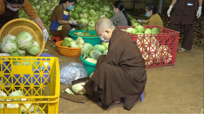 Continuing to support people in need in the Covid-19 pandemic of Hoang Phap Pagoda (series 11)