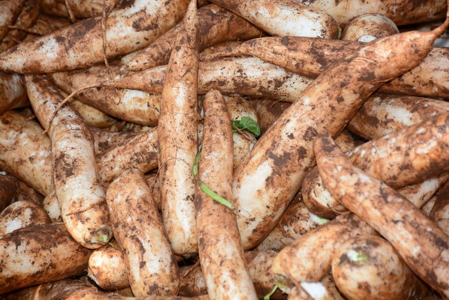 Continuing to support people in need in the Covid-19 pandemic of Hoang Phap Pagoda (series 11)