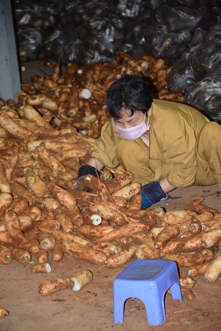 Continuing to support people in need in the Covid-19 pandemic of Hoang Phap Pagoda (series 11)