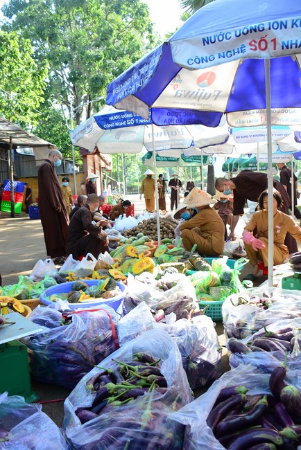 Continuing to support people in need in the Covid-19 pandemic of Hoang Phap Pagoda (series 11)