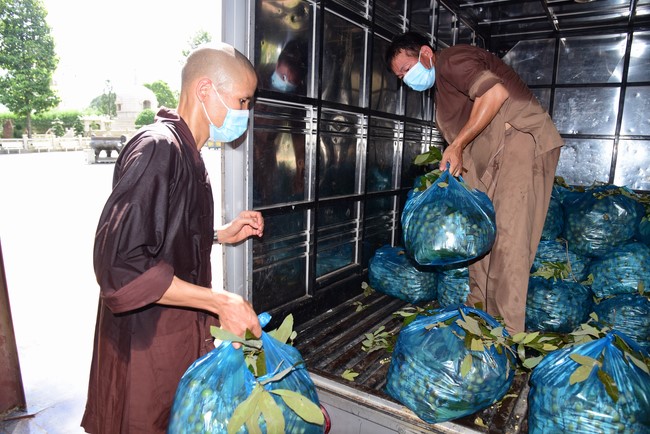 Continuing to support people in need in the Covid-19 pandemic of Hoang Phap Pagoda (series 11)