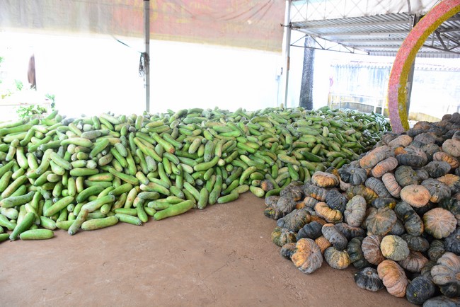 Continuing to support people in need in the Covid-19 pandemic of Hoang Phap Pagoda (series 12)