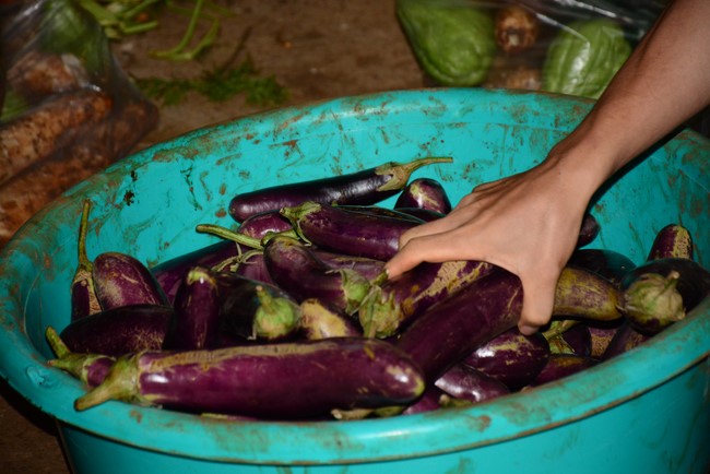 Continuing to support people in need in the Covid-19 pandemic of Hoang Phap Pagoda (series 12)