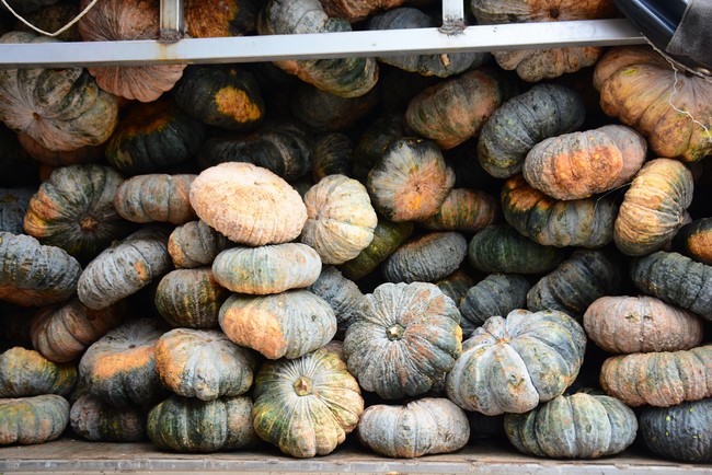 Continuing to support people in need in the Covid-19 pandemic of Hoang Phap Pagoda (series 12)