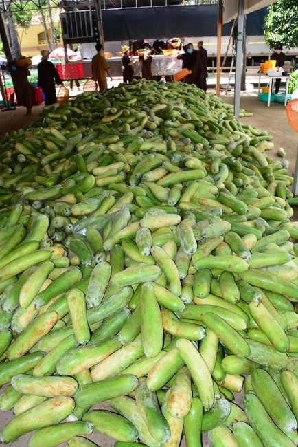 Continuing to support people in need in the Covid-19 pandemic of Hoang Phap Pagoda (series 12)