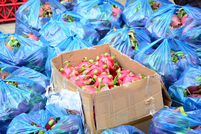 Continuing to support people in need in the Covid-19 pandemic of Hoang Phap Pagoda (series 9)