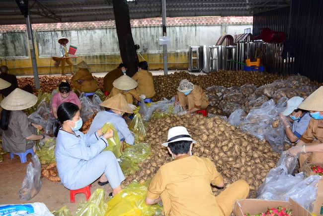 Continuing to support people in need in the Covid-19 pandemic of Hoang Phap Pagoda (series 9)
