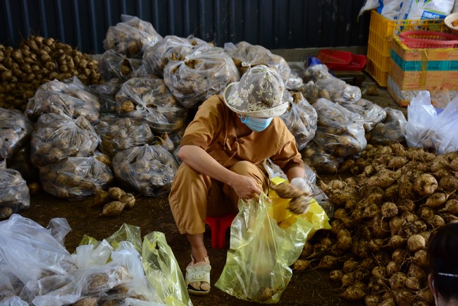 Continuing to support people in need in the Covid-19 pandemic of Hoang Phap Pagoda (series 9)