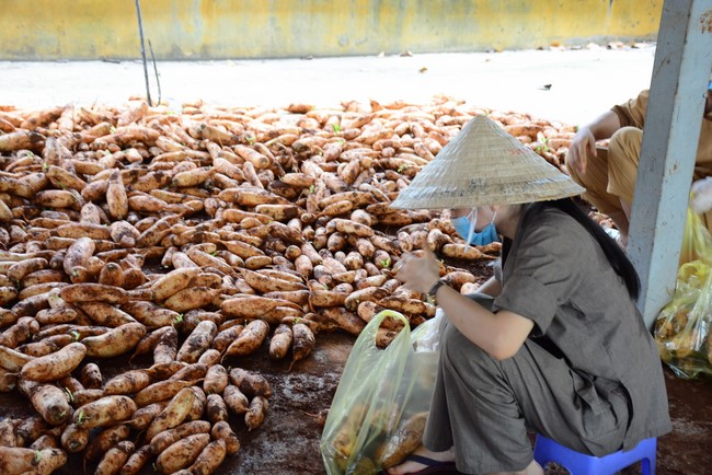 Continuing to support people in need in the Covid-19 pandemic of Hoang Phap Pagoda (series 9)