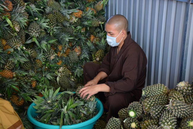 Continuing to support people in need in the Covid-19 pandemic of Hoang Phap Pagoda (series 9)
