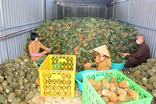 Continuing to support people in need in the Covid-19 pandemic of Hoang Phap Pagoda (series 9)