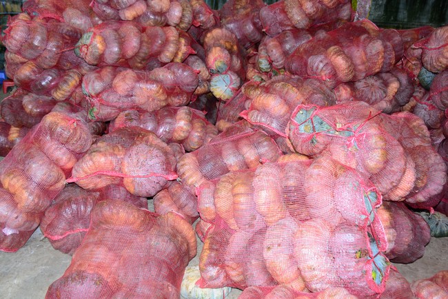 Continuing to support people in need in the Covid-19 pandemic of Hoang Phap Pagoda (series 9)