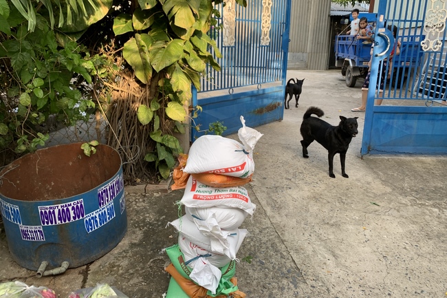 Continuing to support people in need in the Covid-19 pandemic of Hoang Phap Pagoda (series 10)