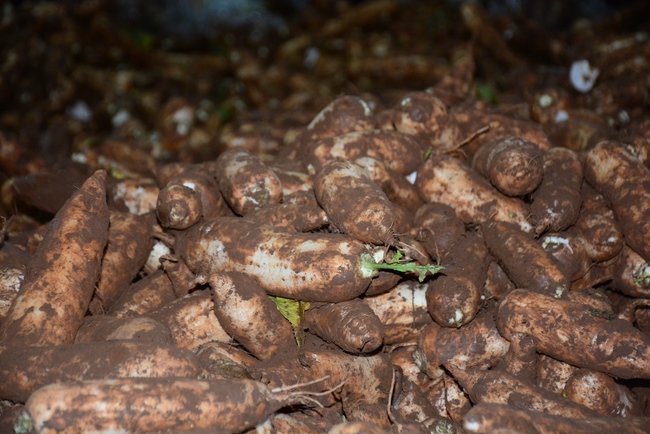 Continuing to support people in need in the Covid-19 pandemic of Hoang Phap Pagoda (series 10)