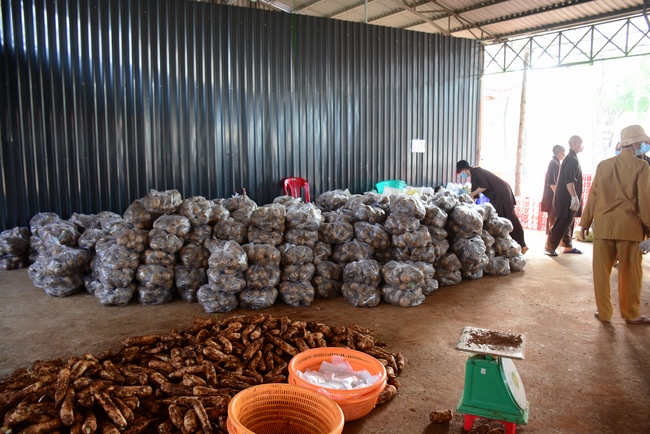 Continuing to support people in need in the Covid-19 pandemic of Hoang Phap Pagoda (series 10)
