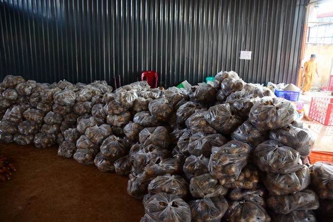 Continuing to support people in need in the Covid-19 pandemic of Hoang Phap Pagoda (series 10)