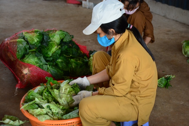 Continuing to support people in need in the Covid-19 pandemic of Hoang Phap Pagoda (series 10)