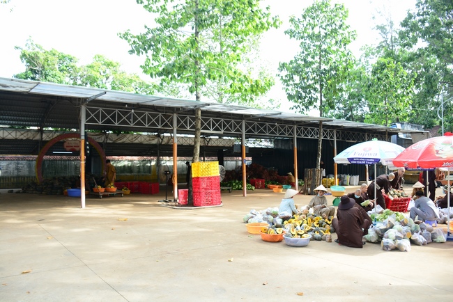 Continuing to support people in need in the Covid-19 pandemic of Hoang Phap Pagoda (series 10)