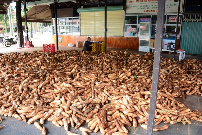 Continuing to support people in need in the Covid-19 pandemic of Hoang Phap Pagoda (series 10)