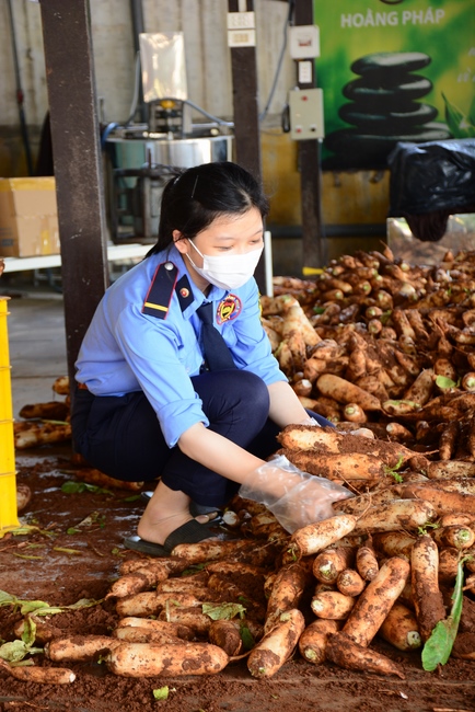 Continuing to support people in need in the Covid-19 pandemic of Hoang Phap Pagoda (series 10)