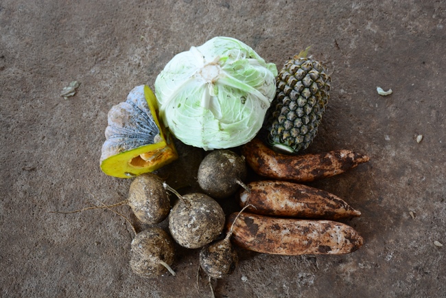 Continuing to support people in need in the Covid-19 pandemic of Hoang Phap Pagoda (series 10)