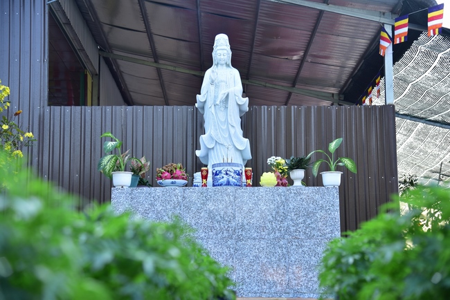 Abbot Appointment Ceremony of Truong Phap Pagoda – Hau Giang