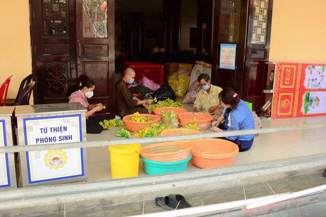 Preparation Activities to Welcome Year of Tiger (part 1)